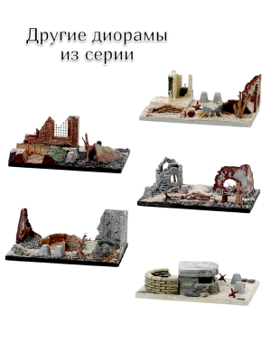 5 5